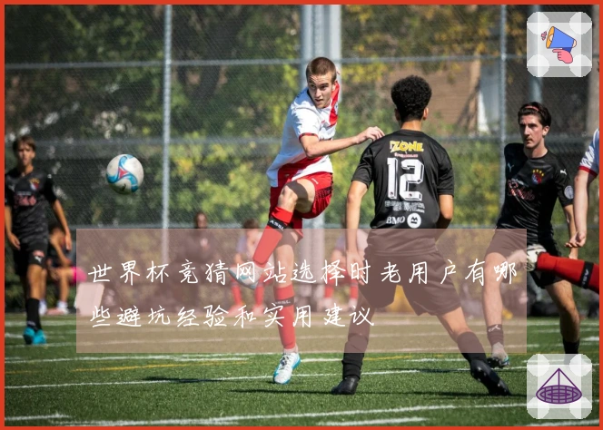 世界杯竞猜网站选择时老用户有哪些避坑经验和实用建议