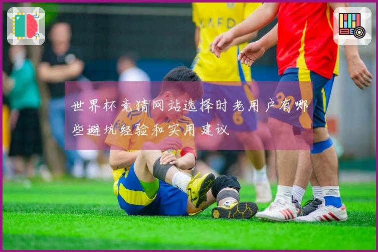 世界杯竞猜网站选择时老用户有哪些避坑经验和实用建议